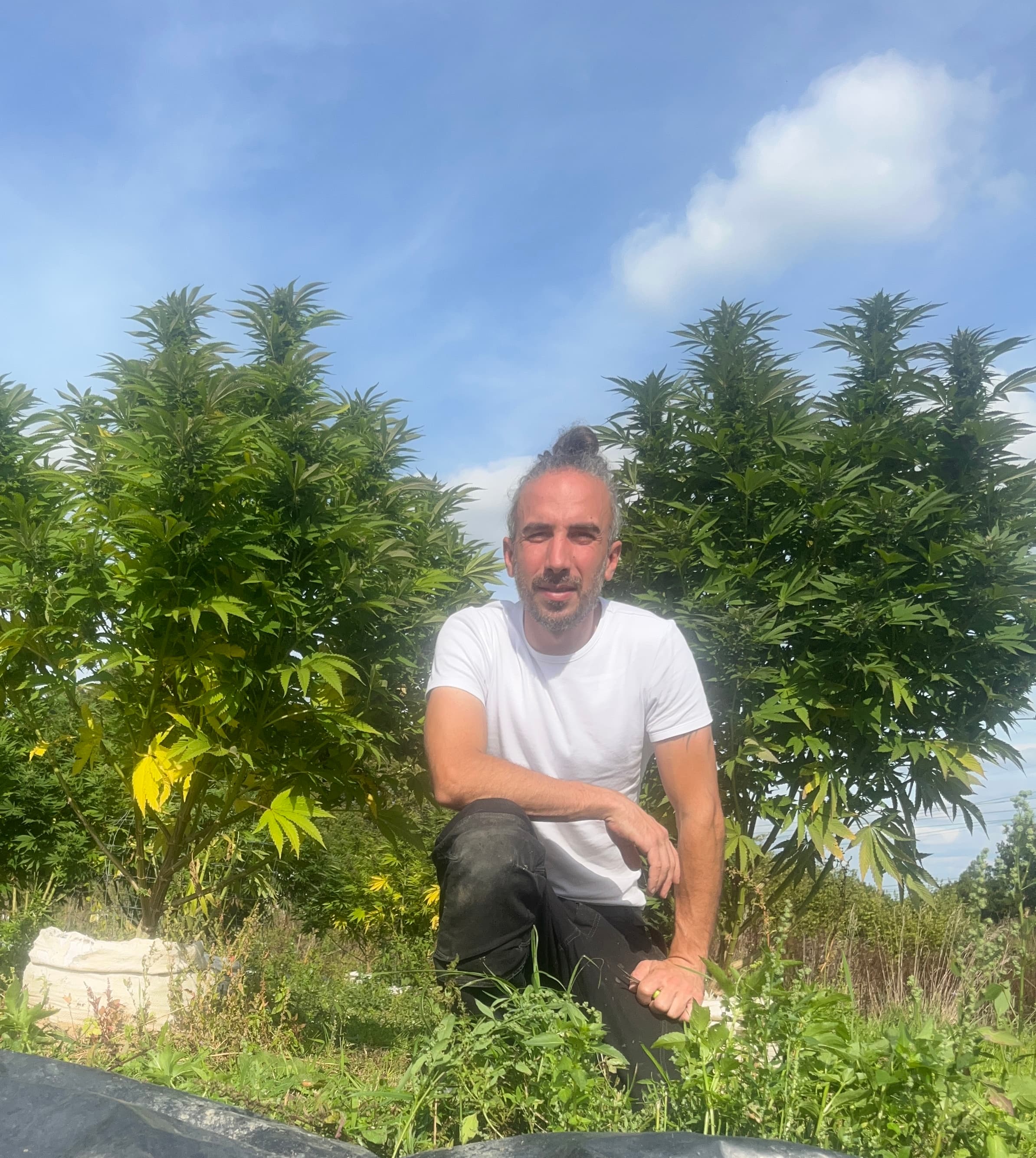 Les Chanvriers Bretons