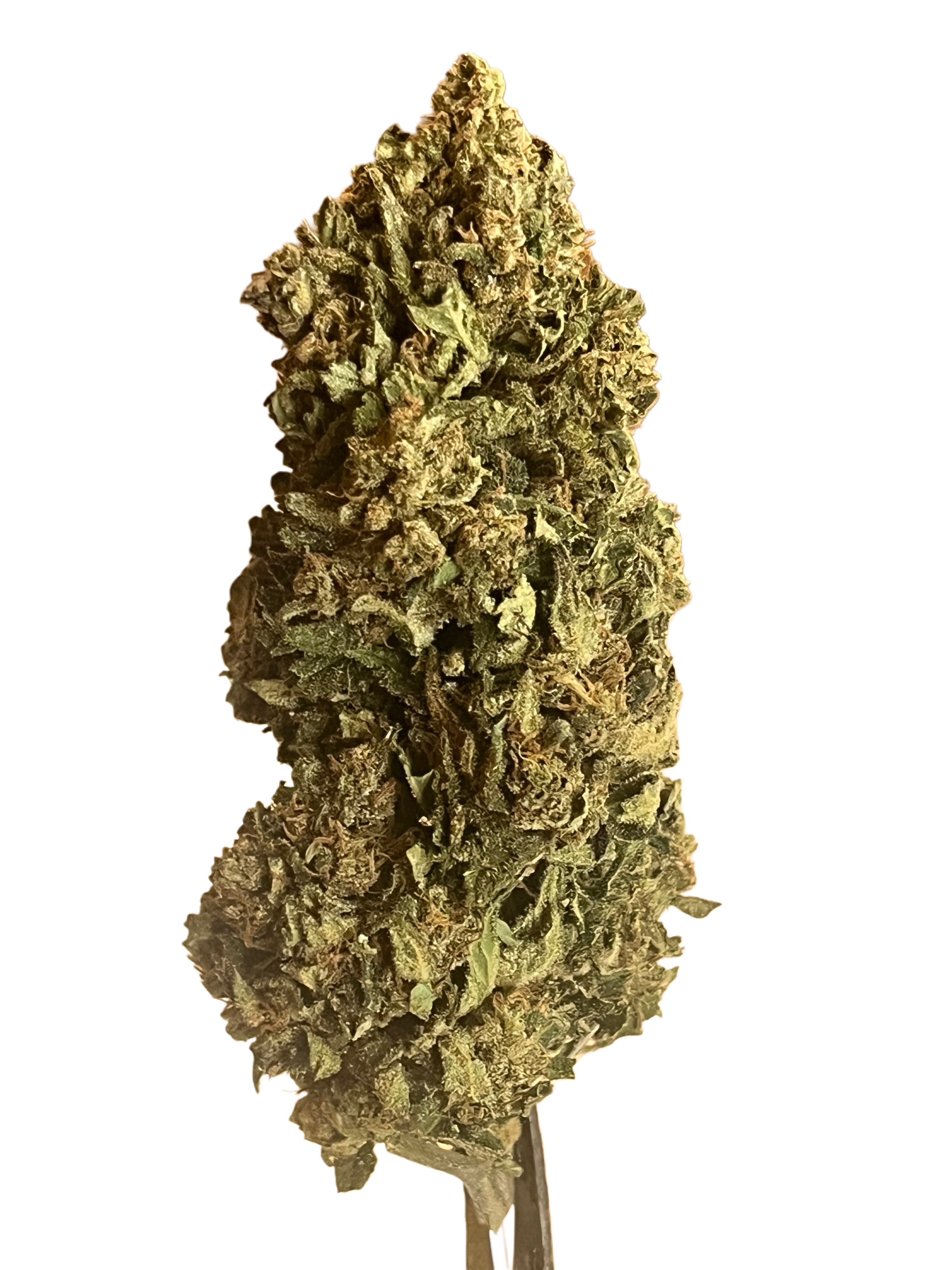 Payton Strawberry Vrac G