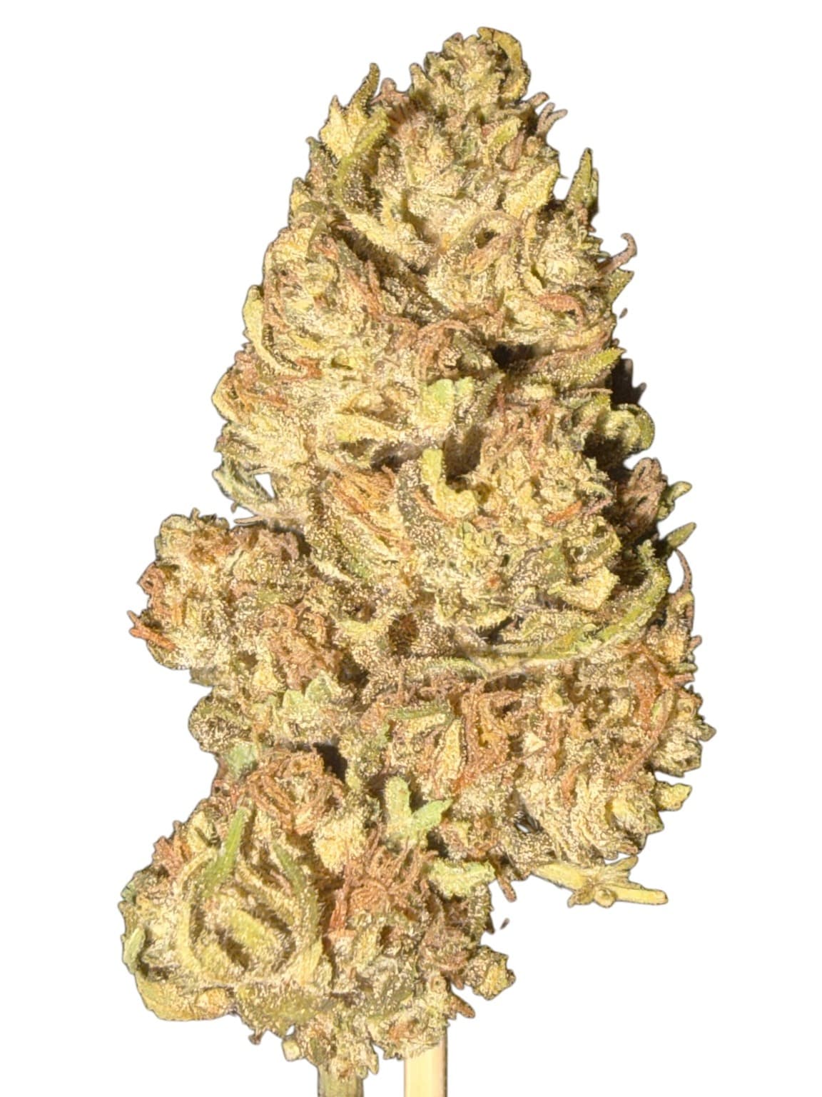 Fruity CBG
