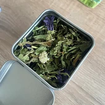 Tisane "Gros Dodo" - photo 2