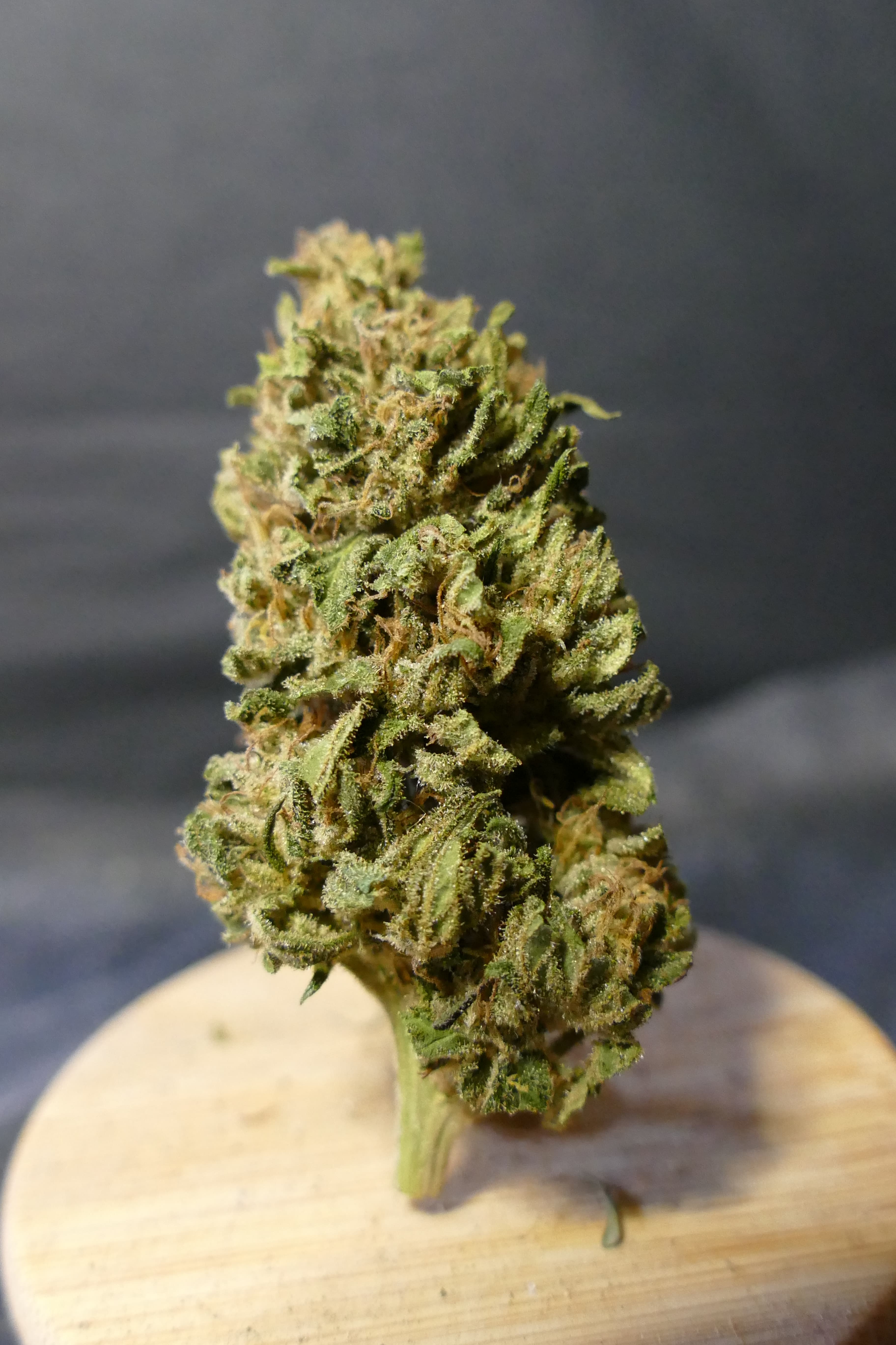 Lemon Nerds
